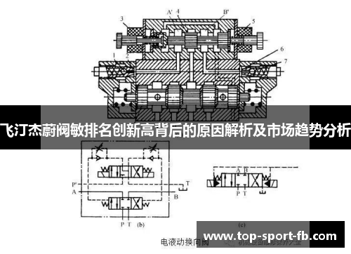 飞汀杰蔚阀敏排名创新高背后的原因解析及市场趋势分析